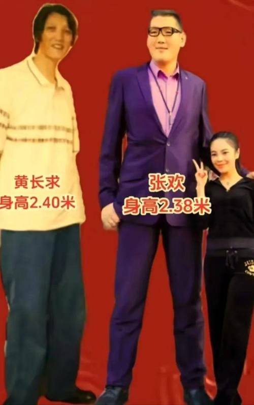 历史哪位2米26巨人最强?文班有望冲第一 除他外仅姚明场均超10分
