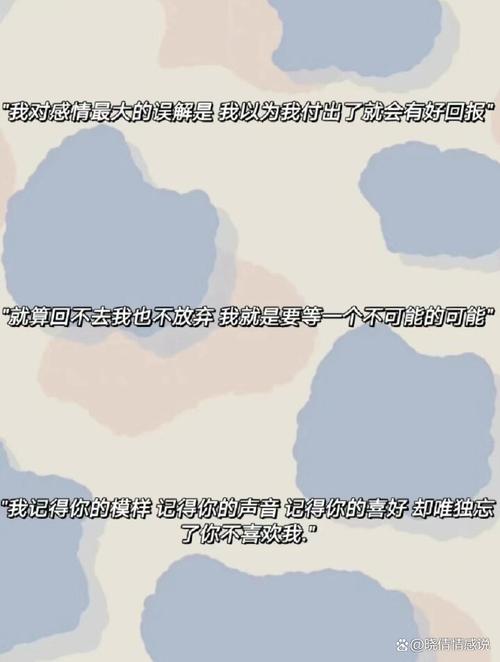 比尔森胜利主帅:这个夜晚一生难忘,下半场没有死守而是继续进攻